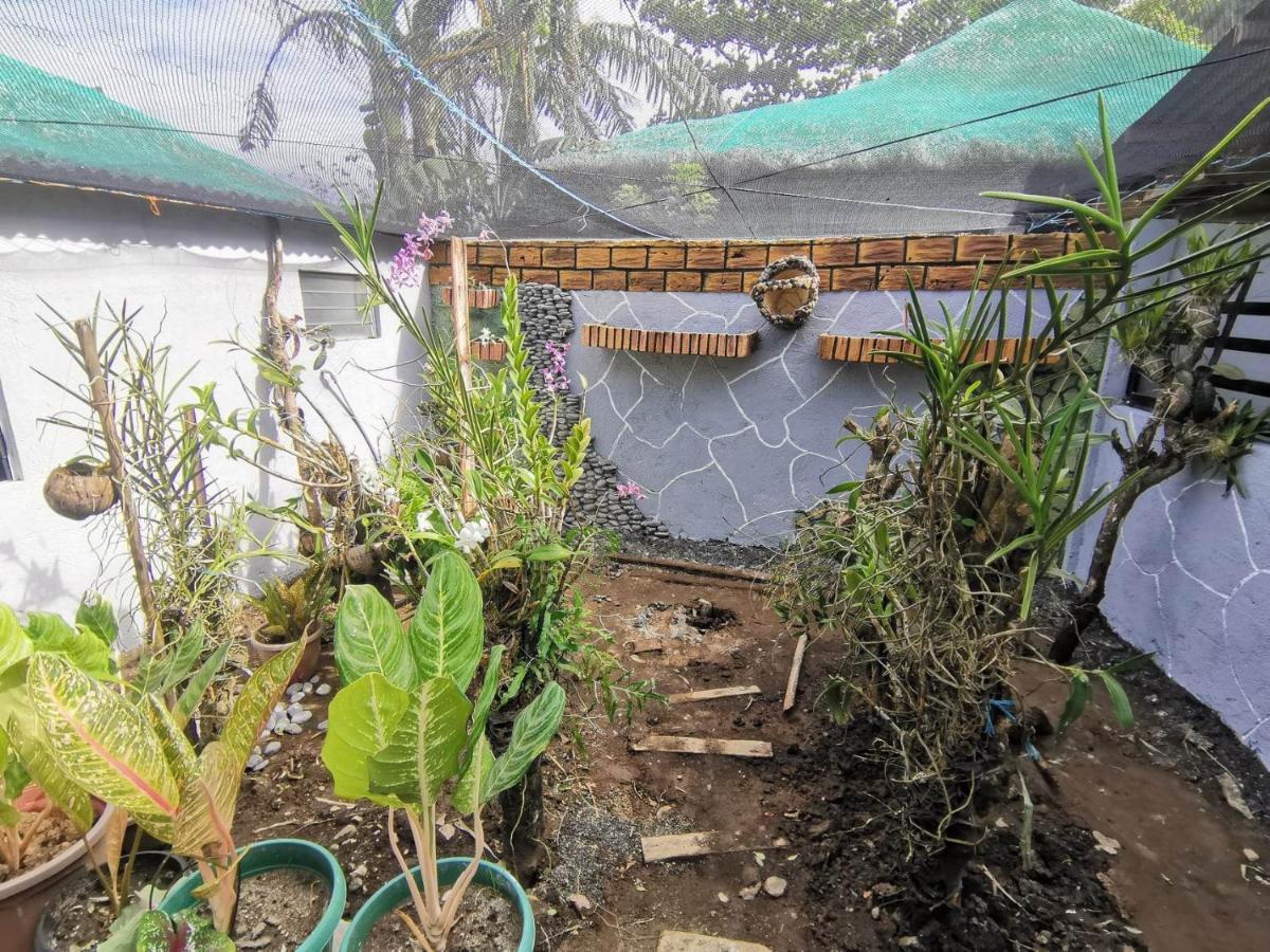 Zeah'S Beach Place Bulusan Exterior photo